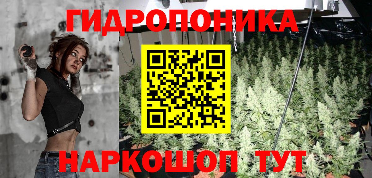 Конопля Ganja Лянтор